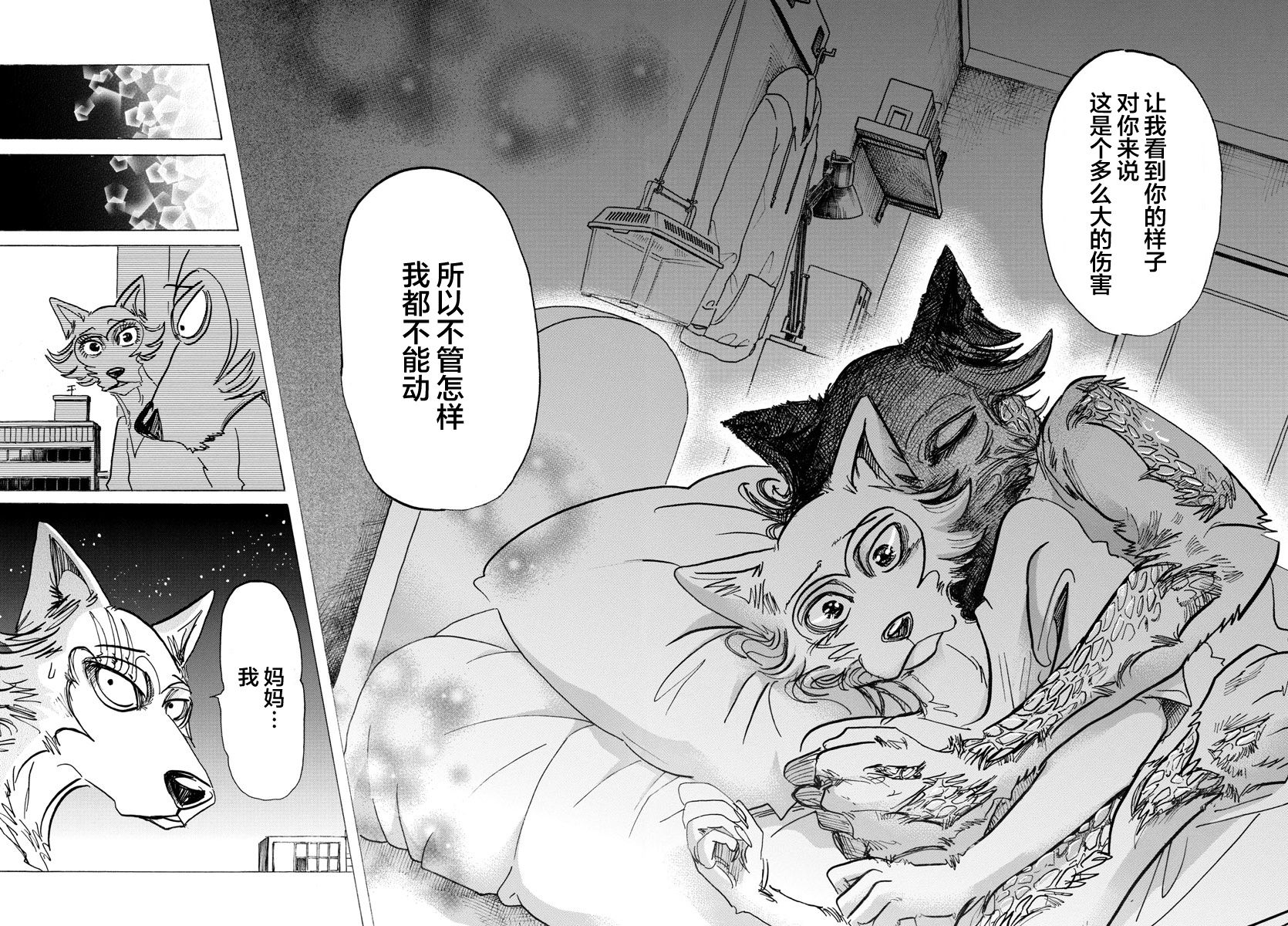 《BEASTARS》漫画最新章节第134话免费下拉式在线观看章节第【14】张图片