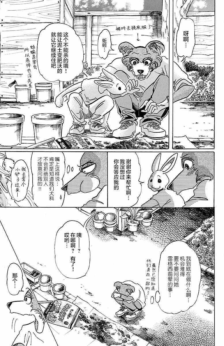 《BEASTARS》漫画最新章节第79话免费下拉式在线观看章节第【13】张图片