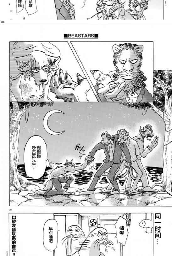 《BEASTARS》漫画最新章节第141话免费下拉式在线观看章节第【19】张图片