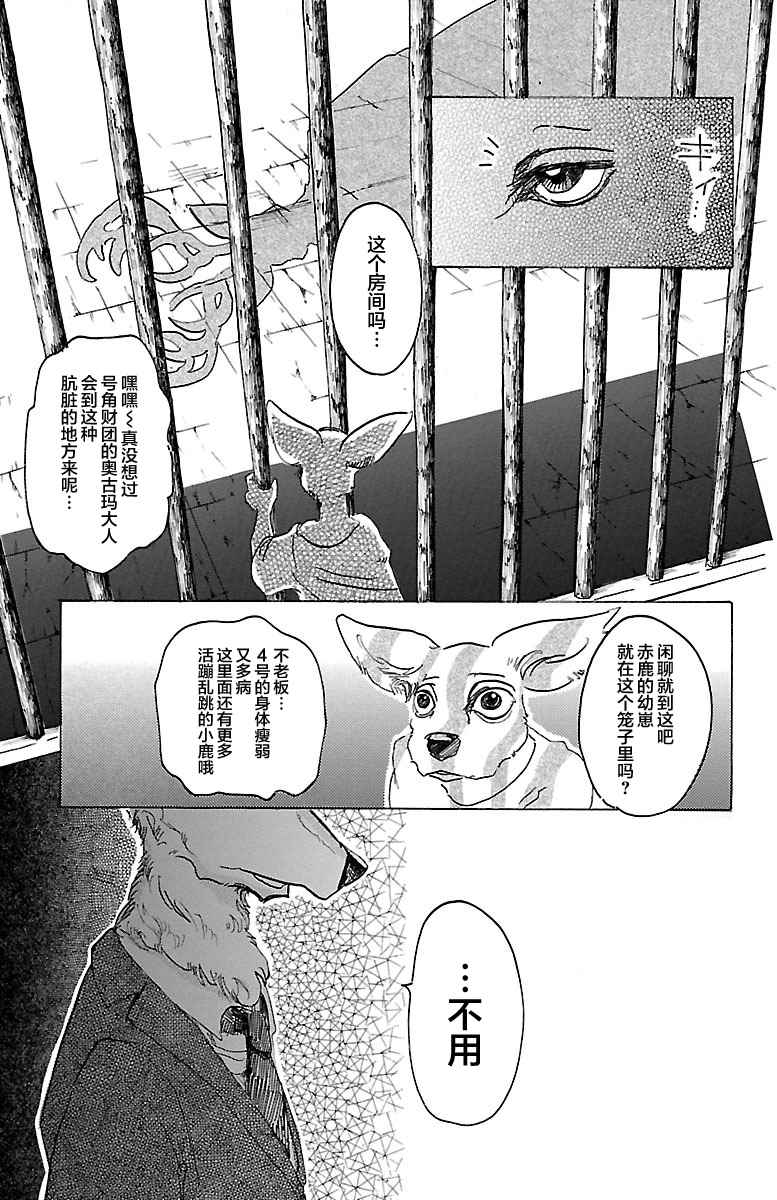 《BEASTARS》漫画最新章节第33话免费下拉式在线观看章节第【13】张图片