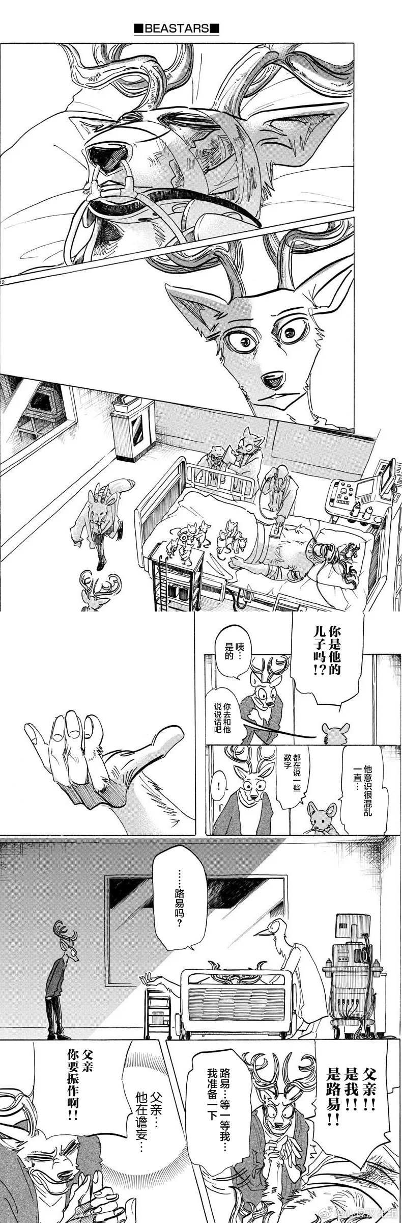 《BEASTARS》漫画最新章节第165话 第65话的答案是ERROR免费下拉式在线观看章节第【7】张图片