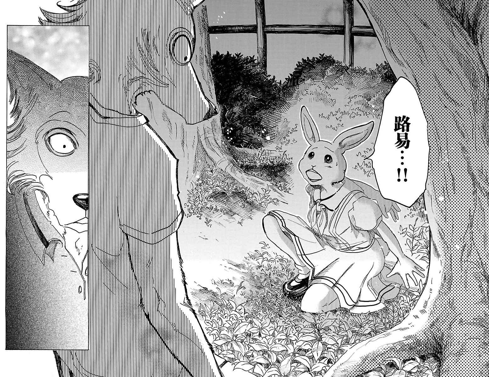 《BEASTARS》漫画最新章节第32话免费下拉式在线观看章节第【16】张图片