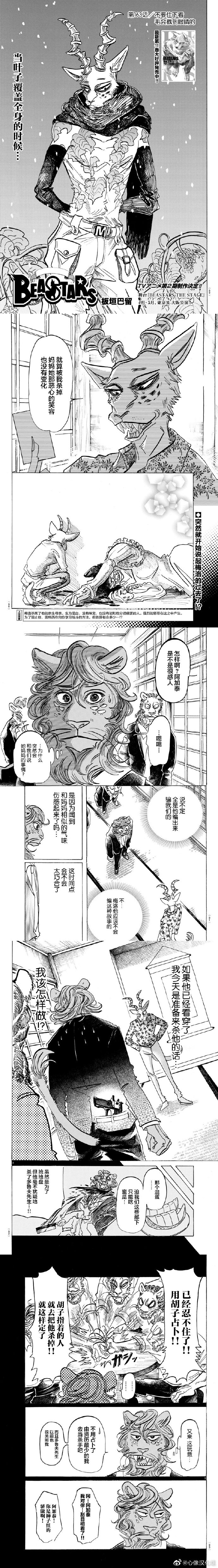 《BEASTARS》漫画最新章节第163话 不要往下看，毛会戳到眼睛的免费下拉式在线观看章节第【5】张图片