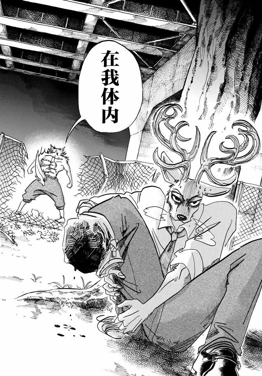 《BEASTARS》漫画最新章节第96话免费下拉式在线观看章节第【8】张图片