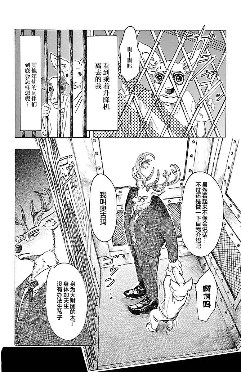 《BEASTARS》漫画最新章节第33话免费下拉式在线观看章节第【16】张图片