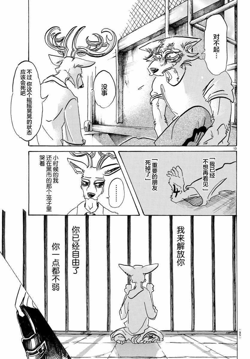 《BEASTARS》漫画最新章节第95话免费下拉式在线观看章节第【13】张图片