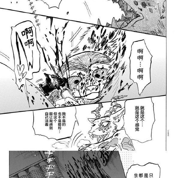 《BEASTARS》漫画最新章节第139话免费下拉式在线观看章节第【21】张图片