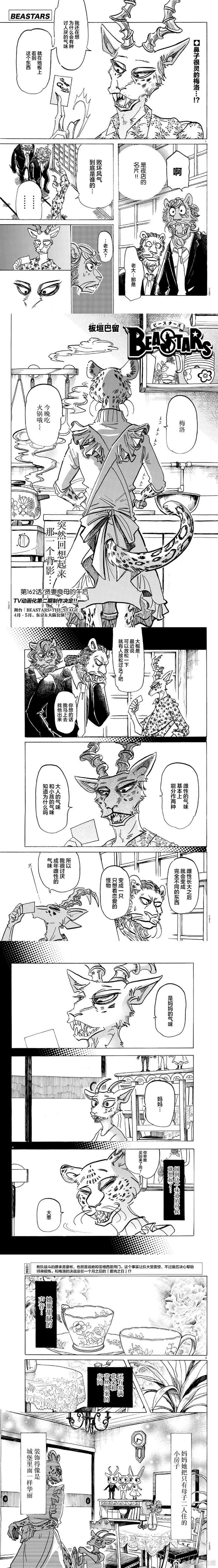 《BEASTARS》漫画最新章节第162话 贤妻良母的午后免费下拉式在线观看章节第【1】张图片