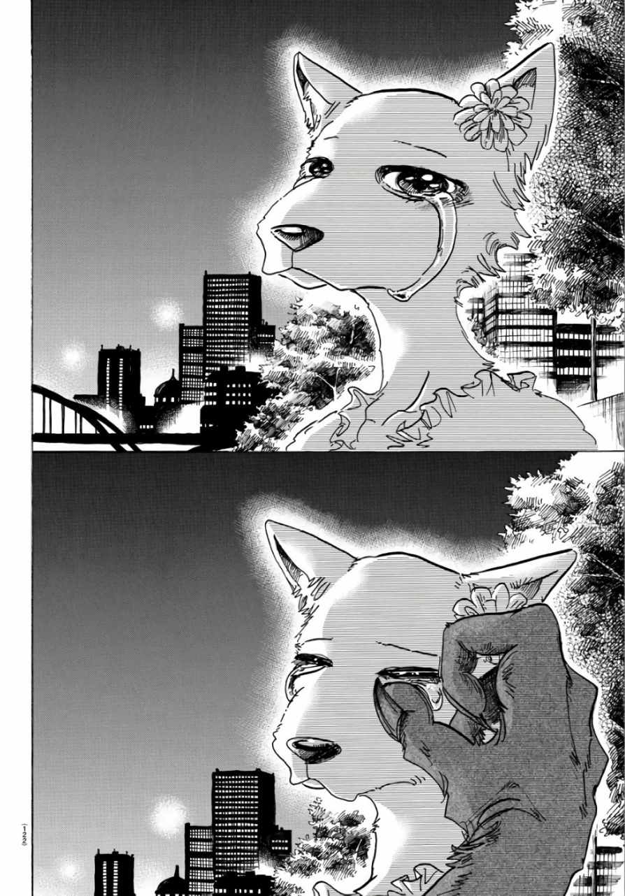 《BEASTARS》漫画最新章节第86话免费下拉式在线观看章节第【18】张图片