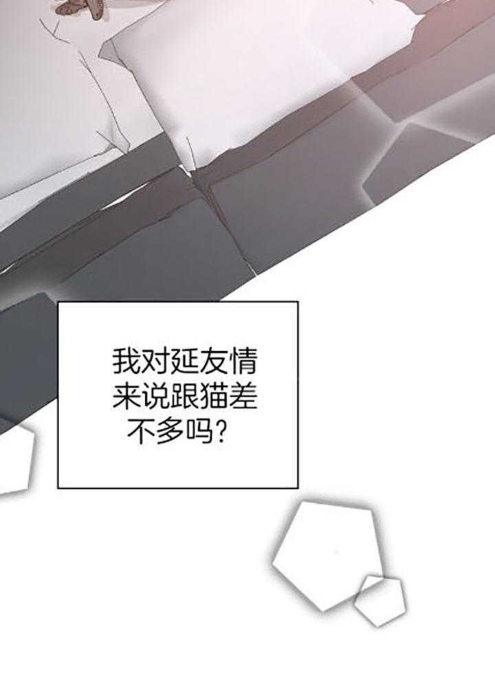 《异邦人》漫画最新章节第37话免费下拉式在线观看章节第【12】张图片