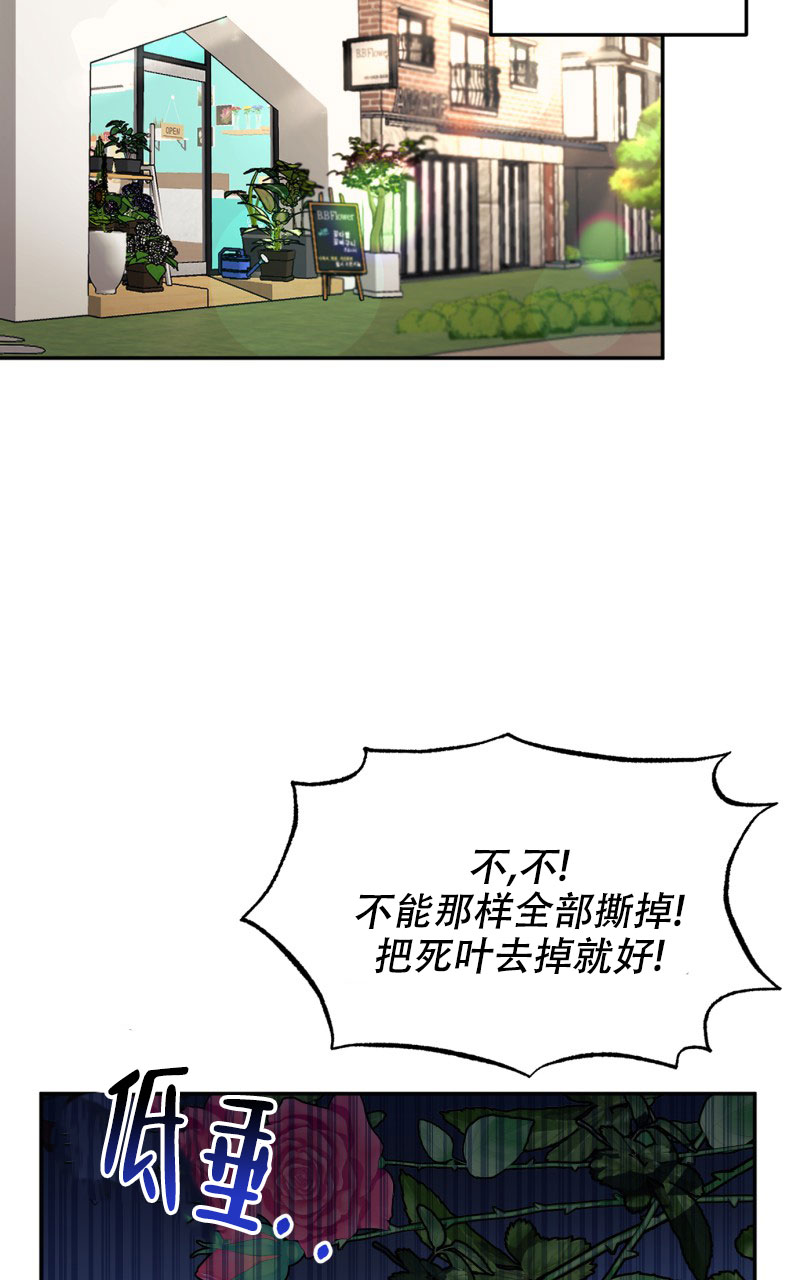 《老板的鲜花》漫画最新章节第2话免费下拉式在线观看章节第【2】张图片