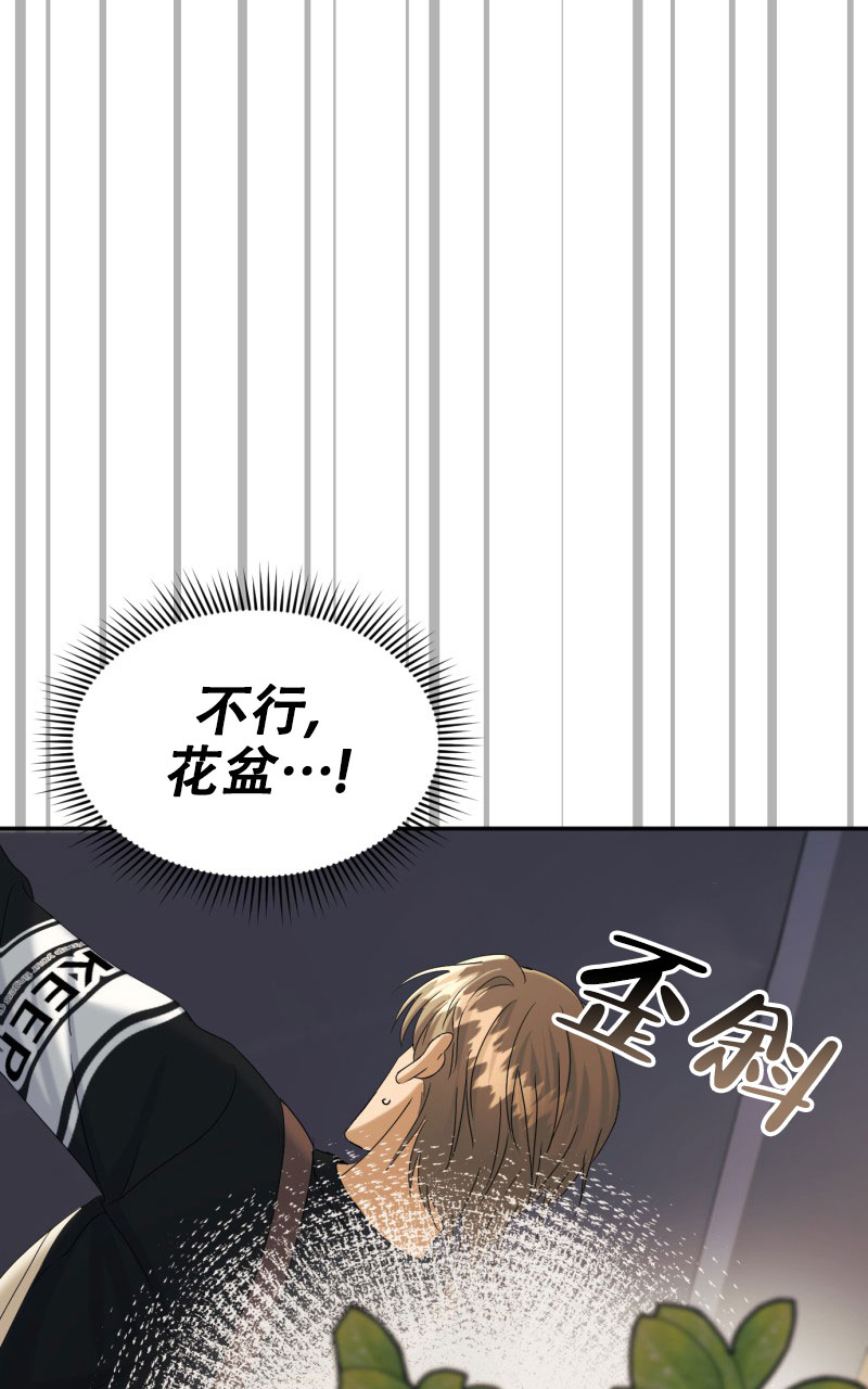 《老板的鲜花》漫画最新章节第3话免费下拉式在线观看章节第【37】张图片