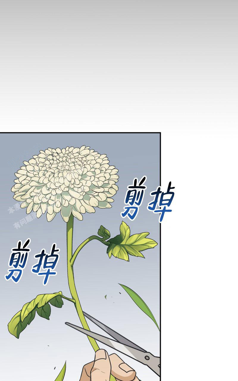 《老板的鲜花》漫画最新章节第13话免费下拉式在线观看章节第【40】张图片