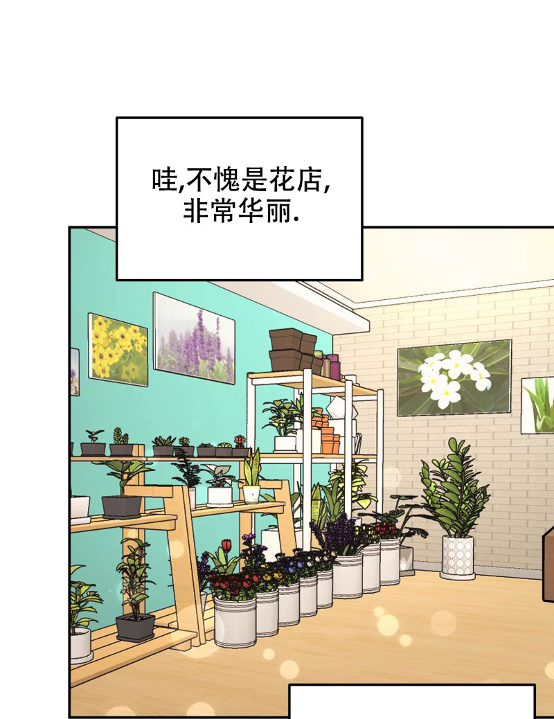 《老板的鲜花》漫画最新章节第1话免费下拉式在线观看章节第【31】张图片