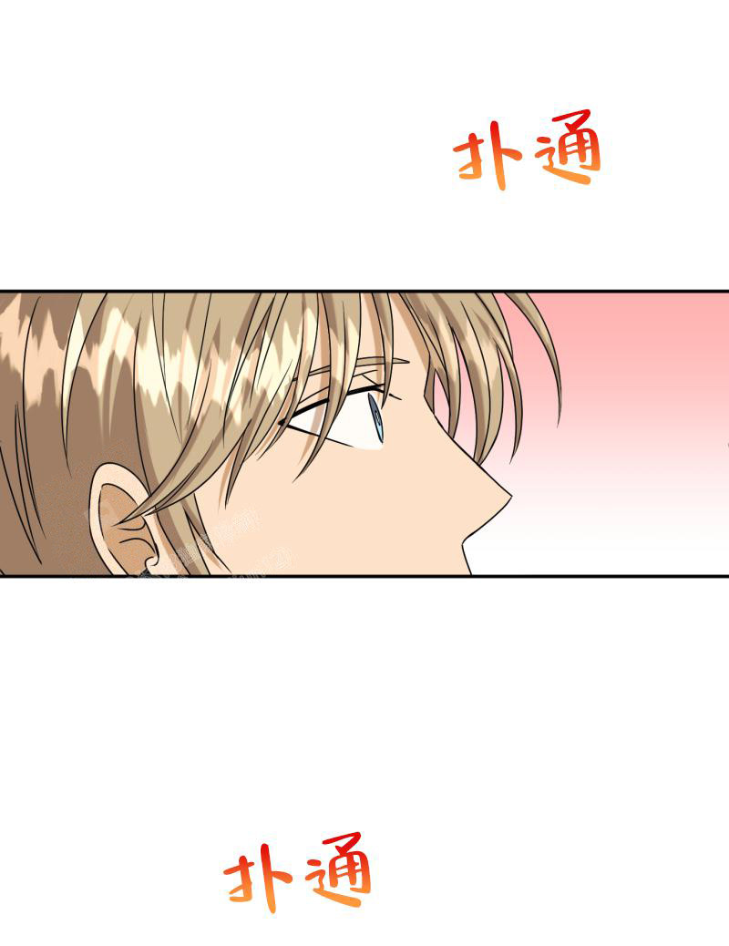 《老板的鲜花》漫画最新章节第8话免费下拉式在线观看章节第【13】张图片