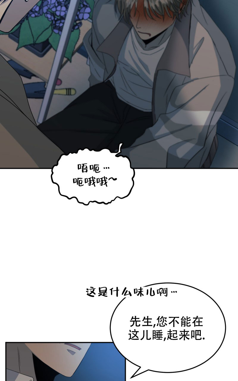 《老板的鲜花》漫画最新章节第1话免费下拉式在线观看章节第【6】张图片