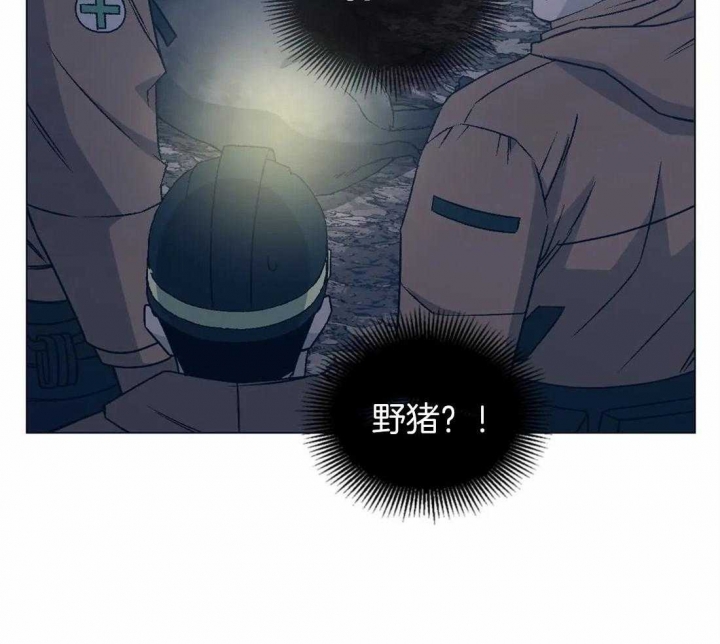 《坠入爱河的杀手》漫画最新章节第38话免费下拉式在线观看章节第【51】张图片