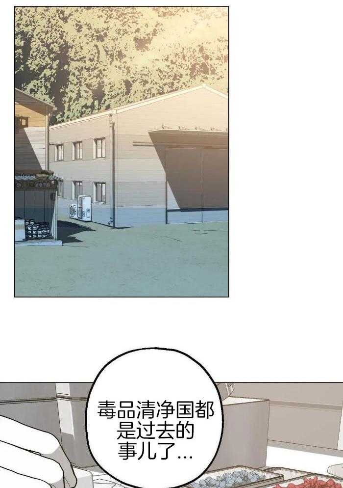 《坠入爱河的杀手》漫画最新章节第77话免费下拉式在线观看章节第【12】张图片