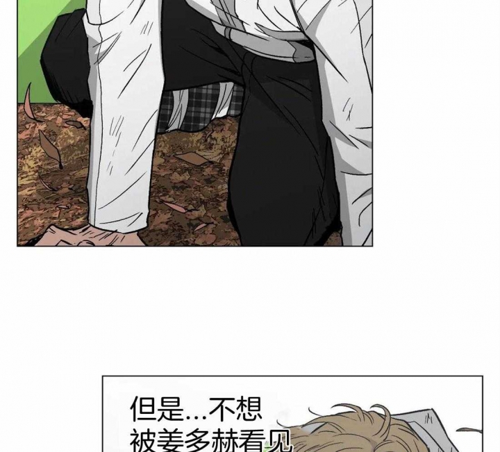 《坠入爱河的杀手》漫画最新章节第37话免费下拉式在线观看章节第【12】张图片