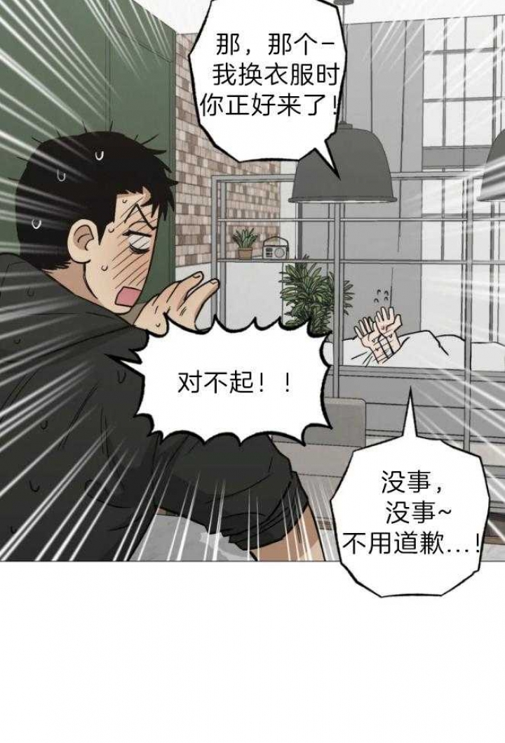 《坠入爱河的杀手》漫画最新章节第45话免费下拉式在线观看章节第【5】张图片