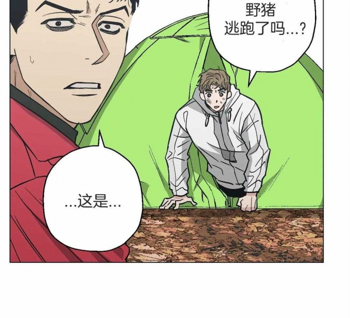 《坠入爱河的杀手》漫画最新章节第36话免费下拉式在线观看章节第【34】张图片