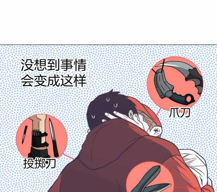 《坠入爱河的杀手》漫画最新章节第60话免费下拉式在线观看章节第【6】张图片