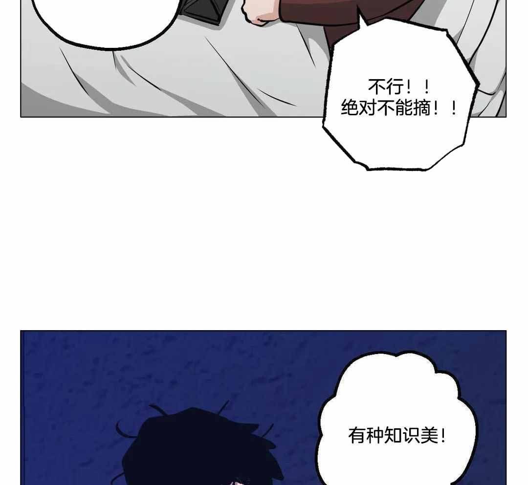 《坠入爱河的杀手》漫画最新章节第92话免费下拉式在线观看章节第【17】张图片