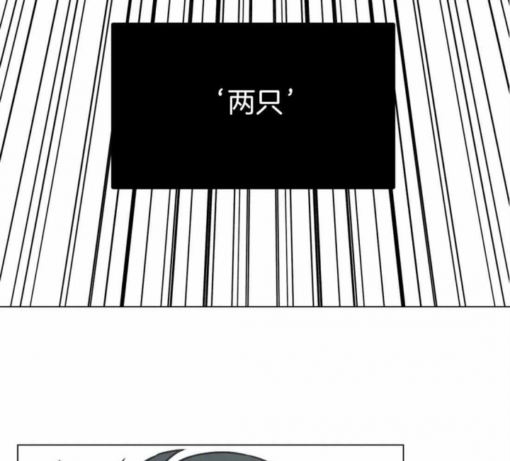 《坠入爱河的杀手》漫画最新章节第37话免费下拉式在线观看章节第【3】张图片