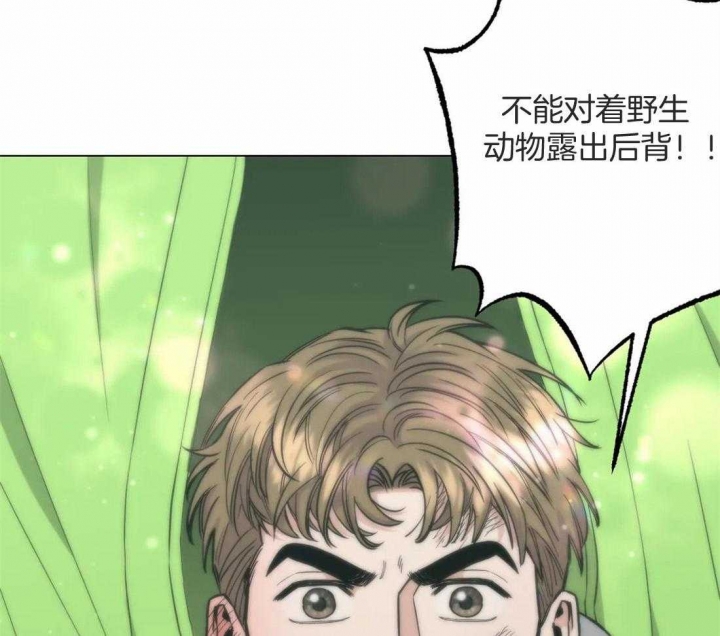 《坠入爱河的杀手》漫画最新章节第36话免费下拉式在线观看章节第【15】张图片