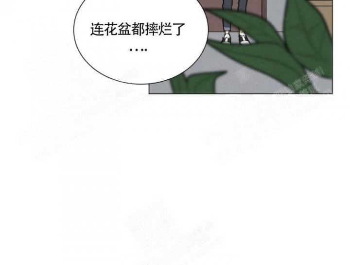 《年下特辑》漫画最新章节第23话免费下拉式在线观看章节第【42】张图片