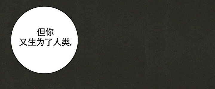 《单相思》漫画最新章节第12话免费下拉式在线观看章节第【41】张图片