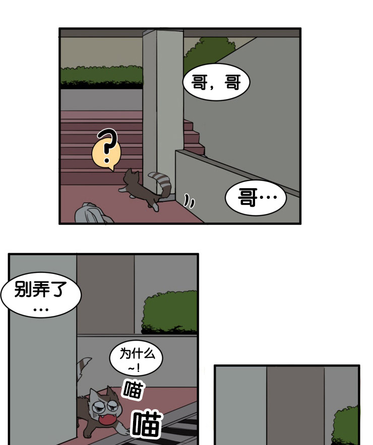 《空巢来风/不是PY交易吗》漫画最新章节第9话免费下拉式在线观看章节第【1】张图片