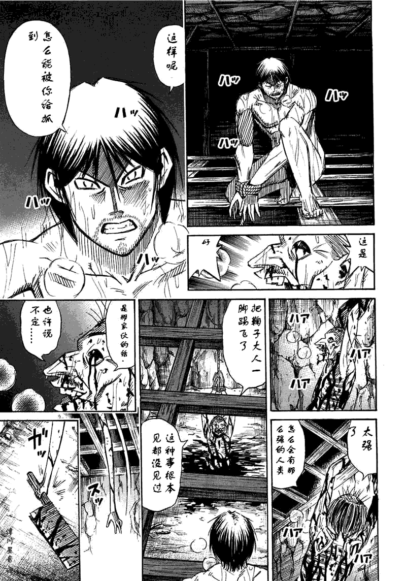 《彼岸岛》漫画最新章节第30卷免费下拉式在线观看章节第【177】张图片