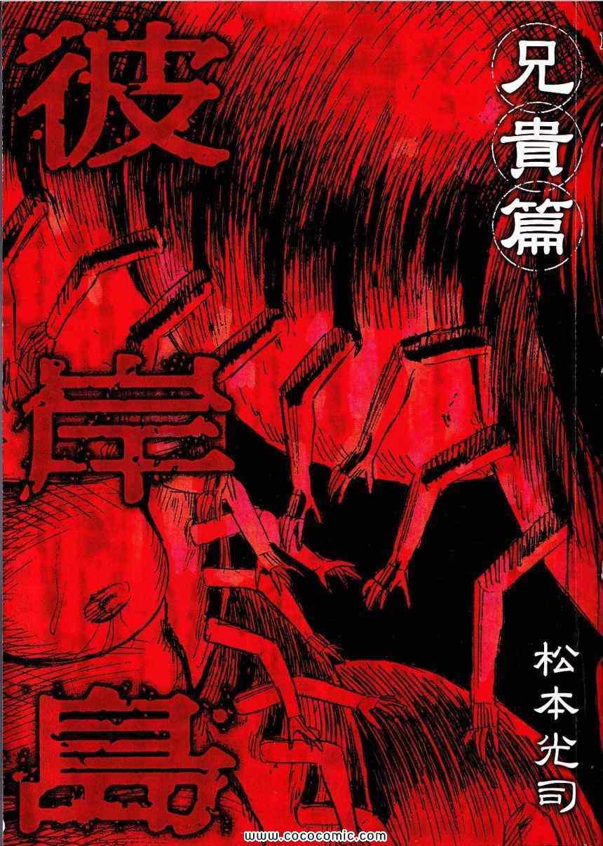 《彼岸岛》漫画最新章节兄贵篇免费下拉式在线观看章节第【2】张图片