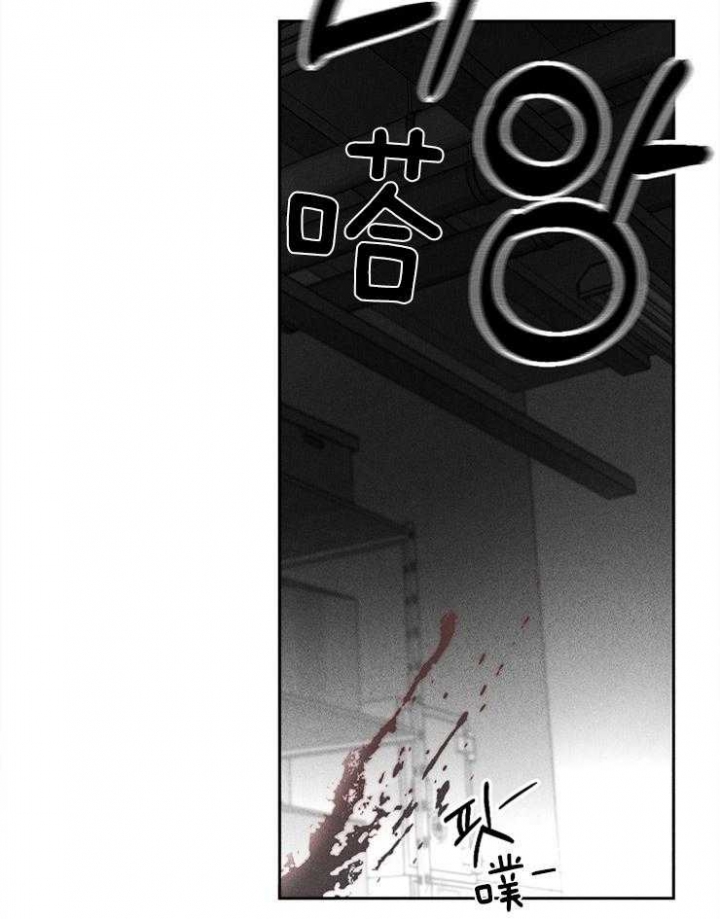 《毒蛇》漫画最新章节第14话免费下拉式在线观看章节第【29】张图片