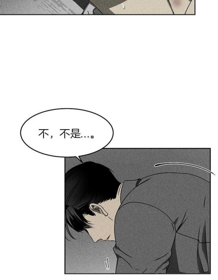 《毒蛇》漫画最新章节第9话免费下拉式在线观看章节第【12】张图片