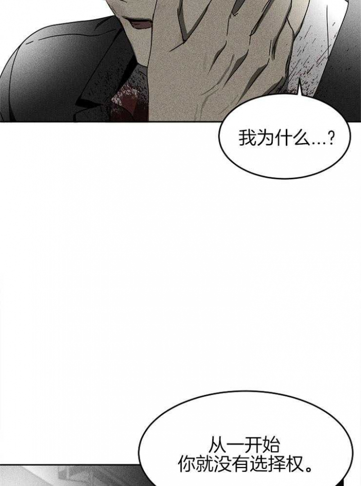 《毒蛇》漫画最新章节第16话免费下拉式在线观看章节第【10】张图片