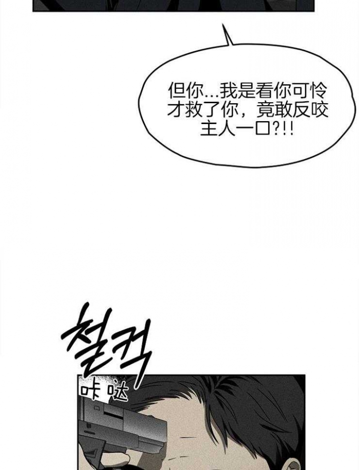 《毒蛇》漫画最新章节第14话免费下拉式在线观看章节第【26】张图片