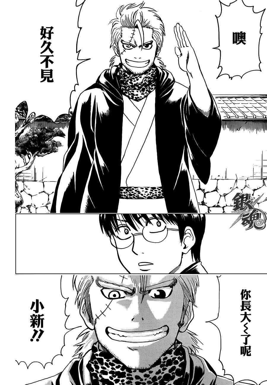 《银魂》漫画最新章节第403话免费下拉式在线观看章节第【8】张图片