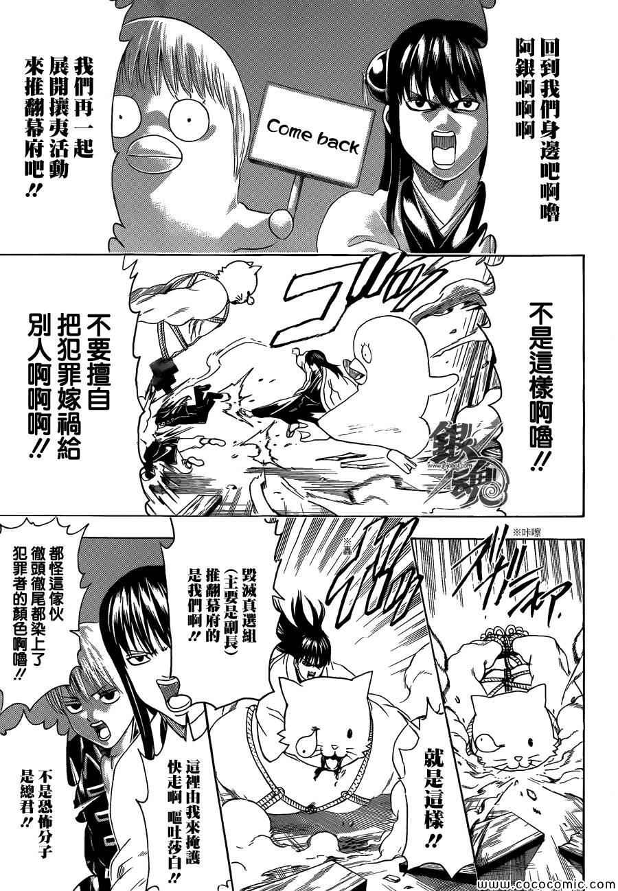 《银魂》漫画最新章节第476话免费下拉式在线观看章节第【5】张图片