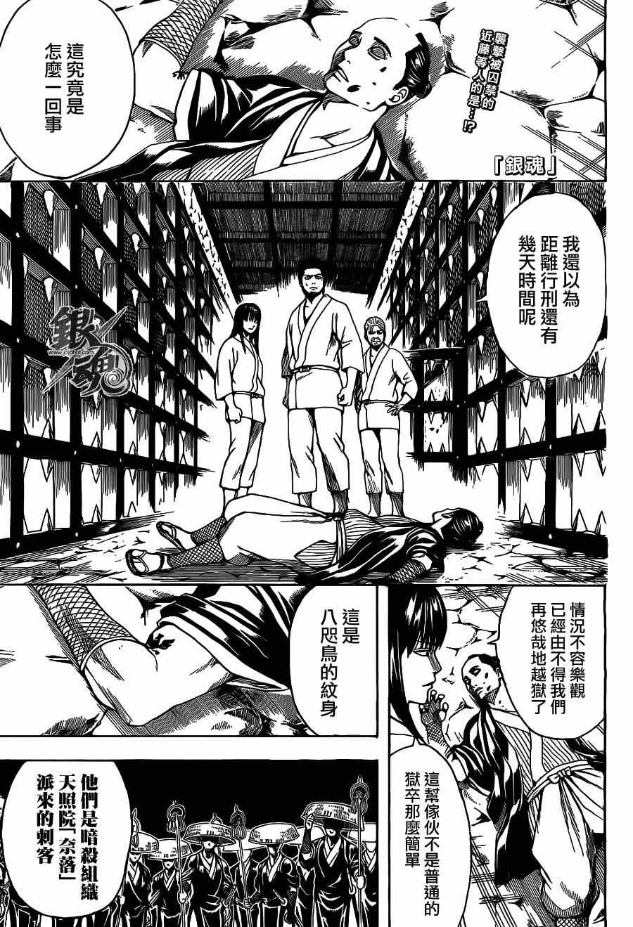 《银魂》漫画最新章节第531话免费下拉式在线观看章节第【1】张图片