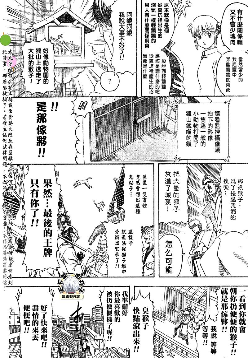 《银魂》漫画最新章节第315话免费下拉式在线观看章节第【8】张图片