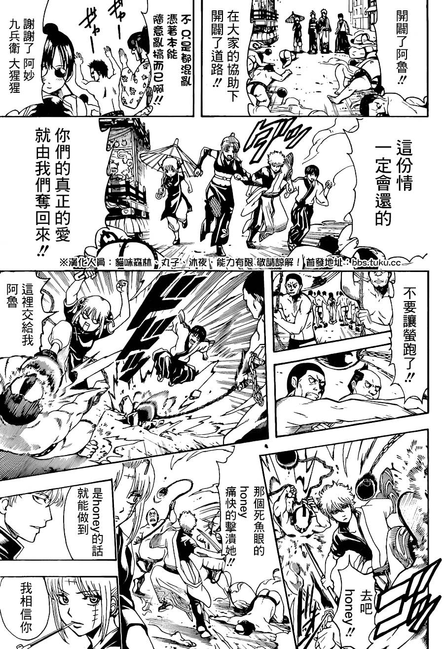 《银魂》漫画最新章节第495话免费下拉式在线观看章节第【5】张图片