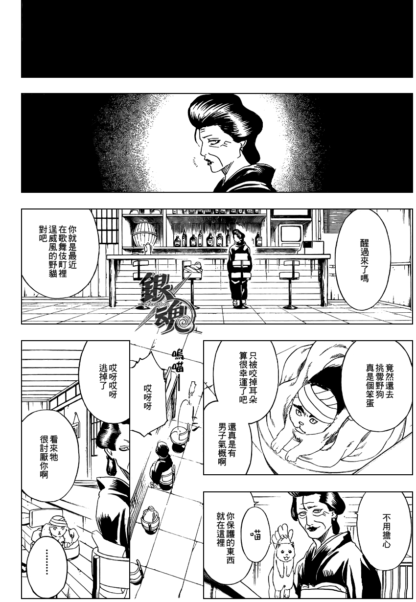 《银魂》漫画最新章节第279话免费下拉式在线观看章节第【6】张图片