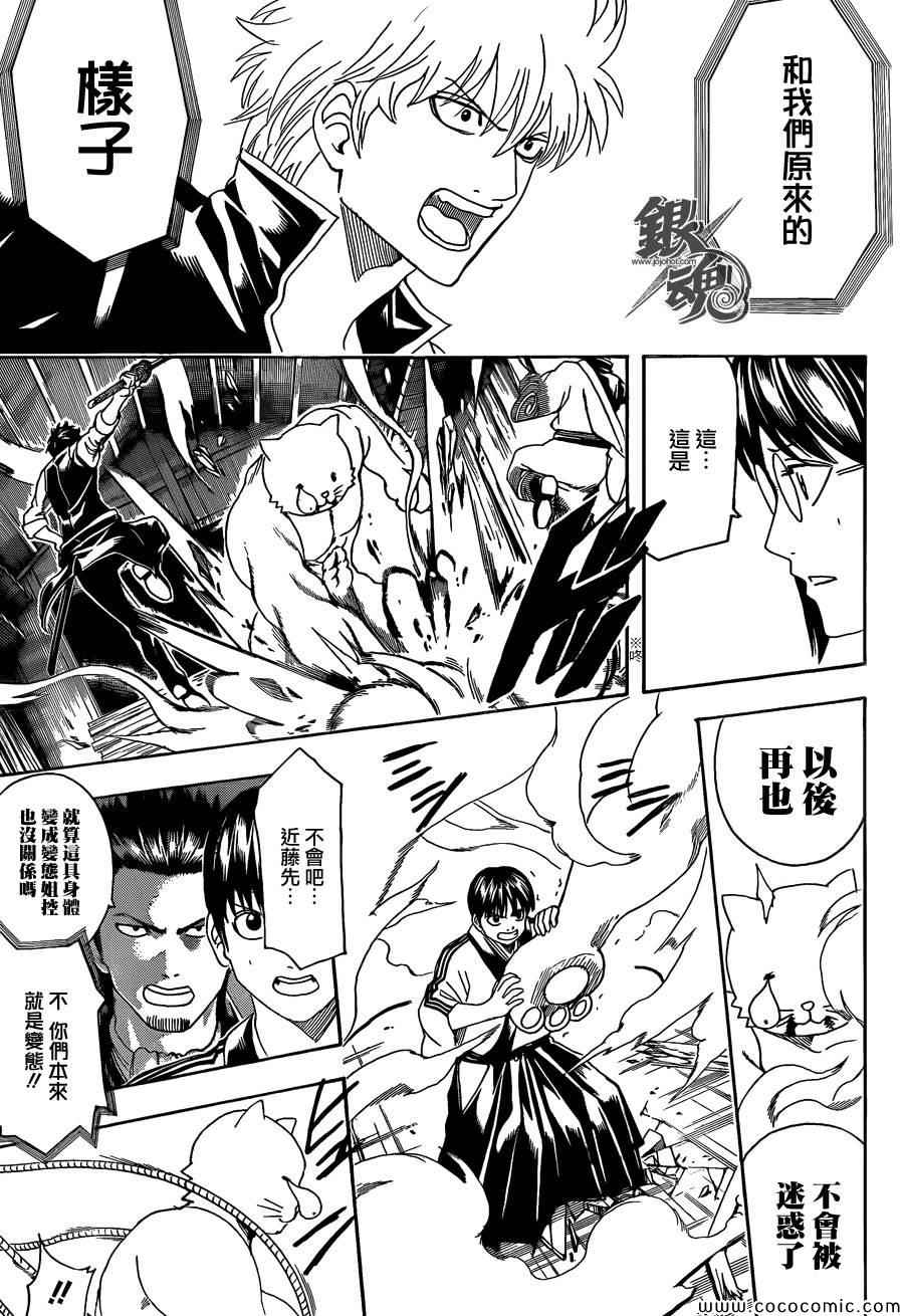 《银魂》漫画最新章节第476话免费下拉式在线观看章节第【3】张图片