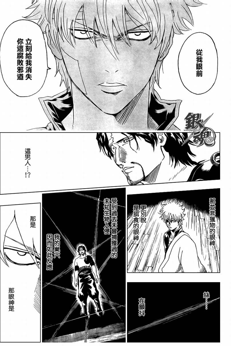 《银魂》漫画最新章节第259话免费下拉式在线观看章节第【11】张图片