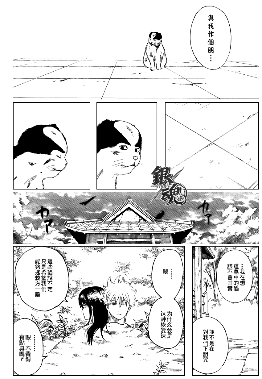 《银魂》漫画最新章节第279话免费下拉式在线观看章节第【16】张图片