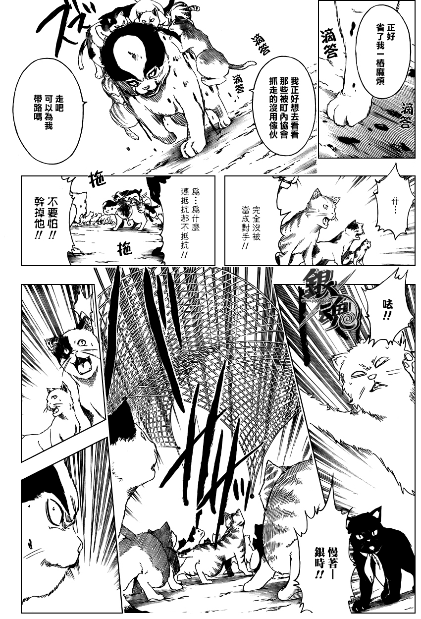 《银魂》漫画最新章节第277话免费下拉式在线观看章节第【18】张图片