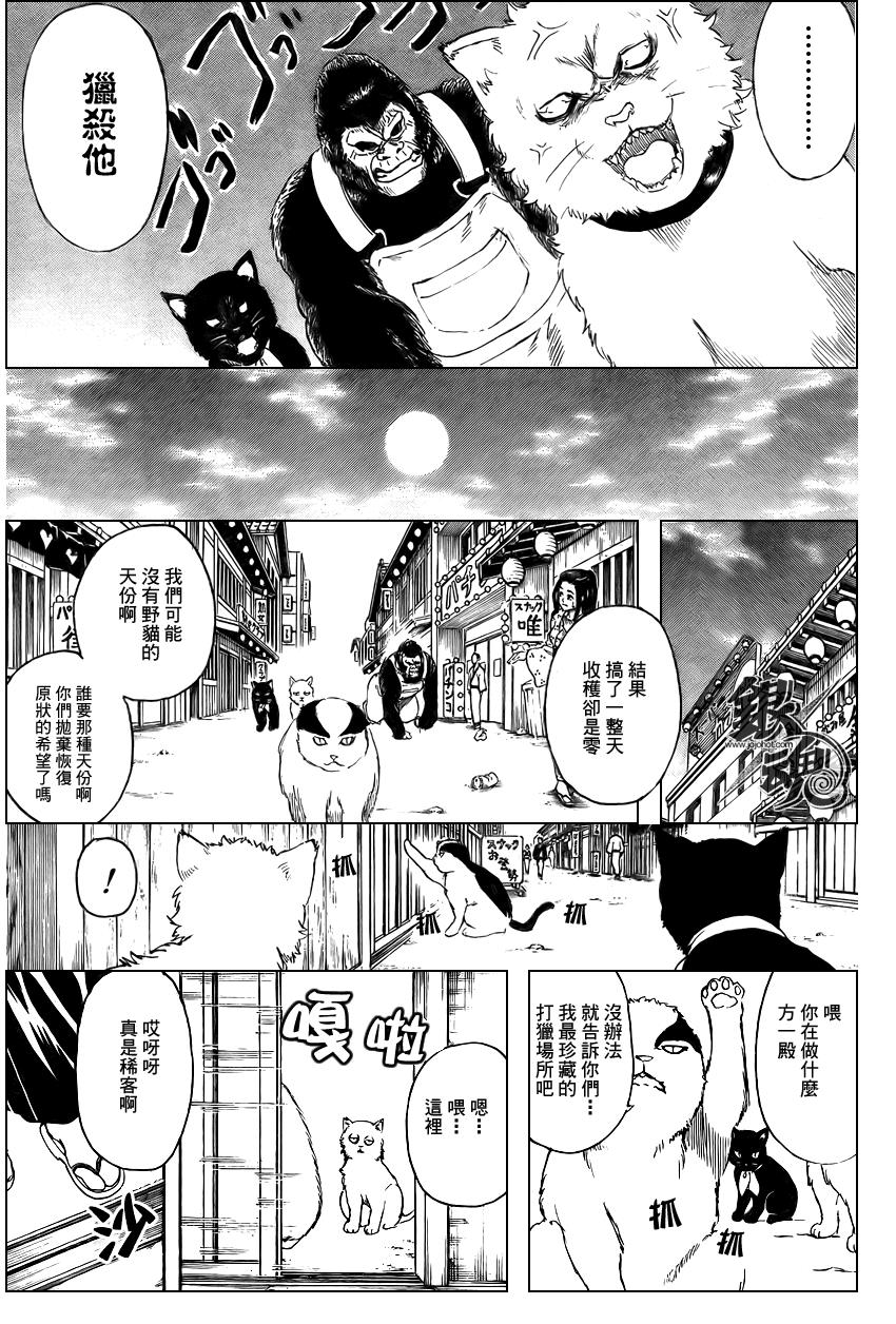 《银魂》漫画最新章节第276话免费下拉式在线观看章节第【17】张图片