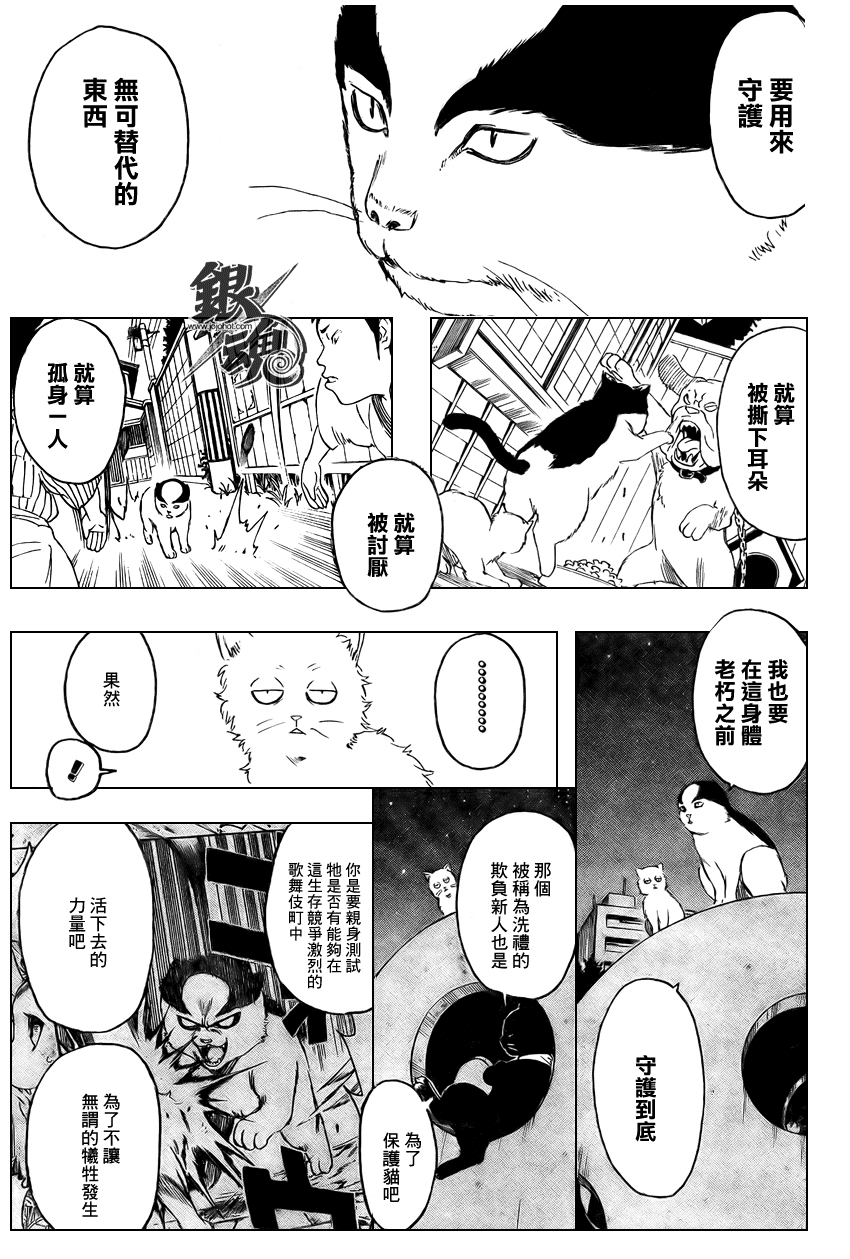 《银魂》漫画最新章节第277话免费下拉式在线观看章节第【13】张图片